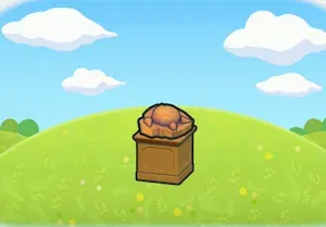 Skull Fossil display