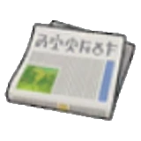 Newspaper