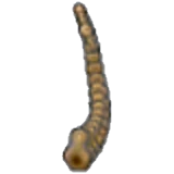 Tundra Fossil (tail)