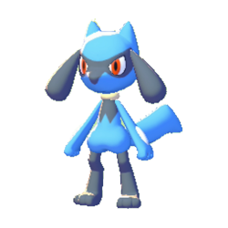 Riolu