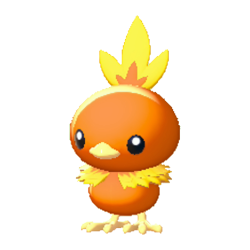 Torchic